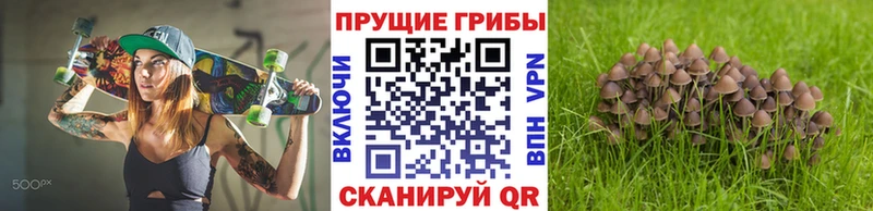 Галлюциногенные грибы Magic Shrooms  Троицк 